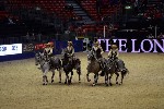 Quadrille - 00664